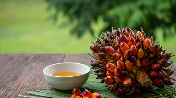 Ist Palmöl - gesund oder ungesund?