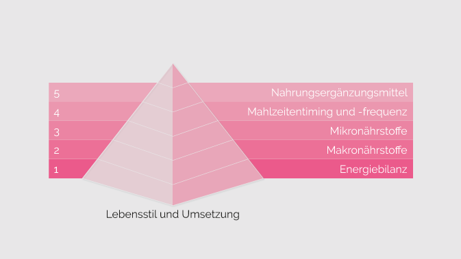 Muskel- und Kraftnahrungspyramide