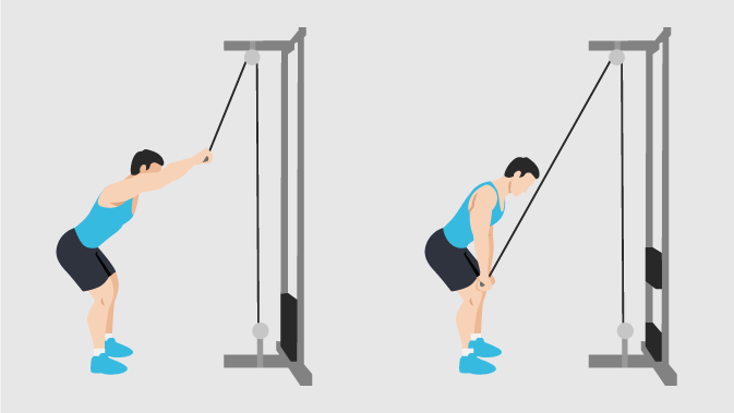 Überzüge am Kabelzug trainieren Brust und Latissimus. Grafik: Überzüge am Kabelzug
