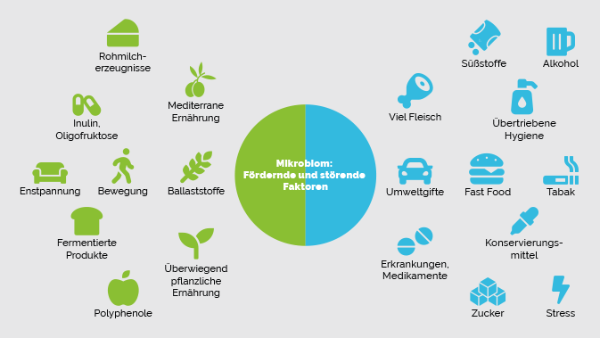 In einer Grafik ist dargestellt, welche Faktoren das Mikrobiom fördern und welche es negativ beeinflussen. 