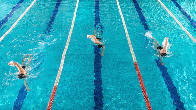 3 Schwimmer schwimmen auf verschiedenen Bahnen im Schwimmbecken nebeneinander