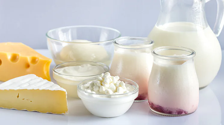 Diverse Milchprodukte wie Milch, Quark, Butter und Joghurt stehen auf einem Tisch