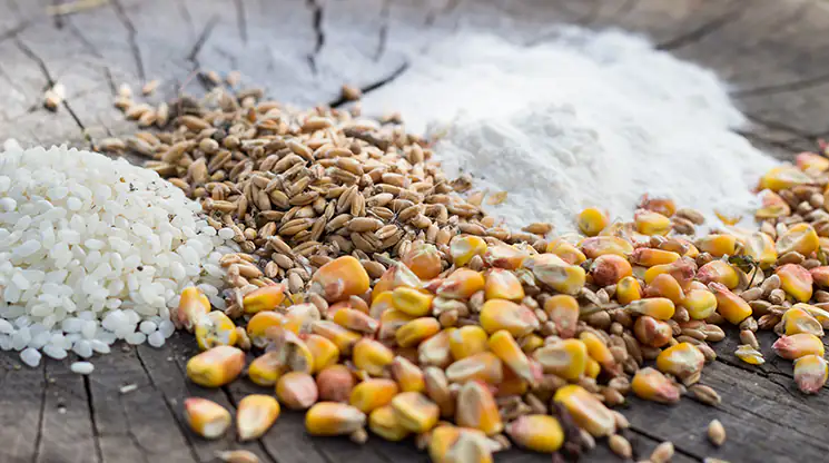 Glutenhaltiges Getreide kann bei Menschen mit einer Unverträglichkeit zu Problemen führen. Verschiedene Getreidesorten sind nebeneinander auf einem Untergrund aus Holz verteilt