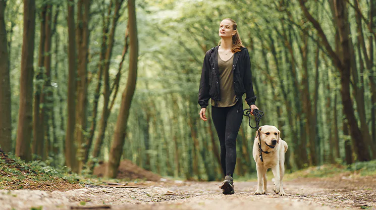 Eine Frau spaziert im Wald mit einem Hund
