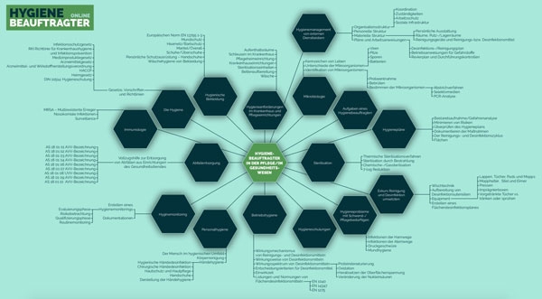 Hygienebeauftragter Pflege/Gesundheitswesen Mindmap