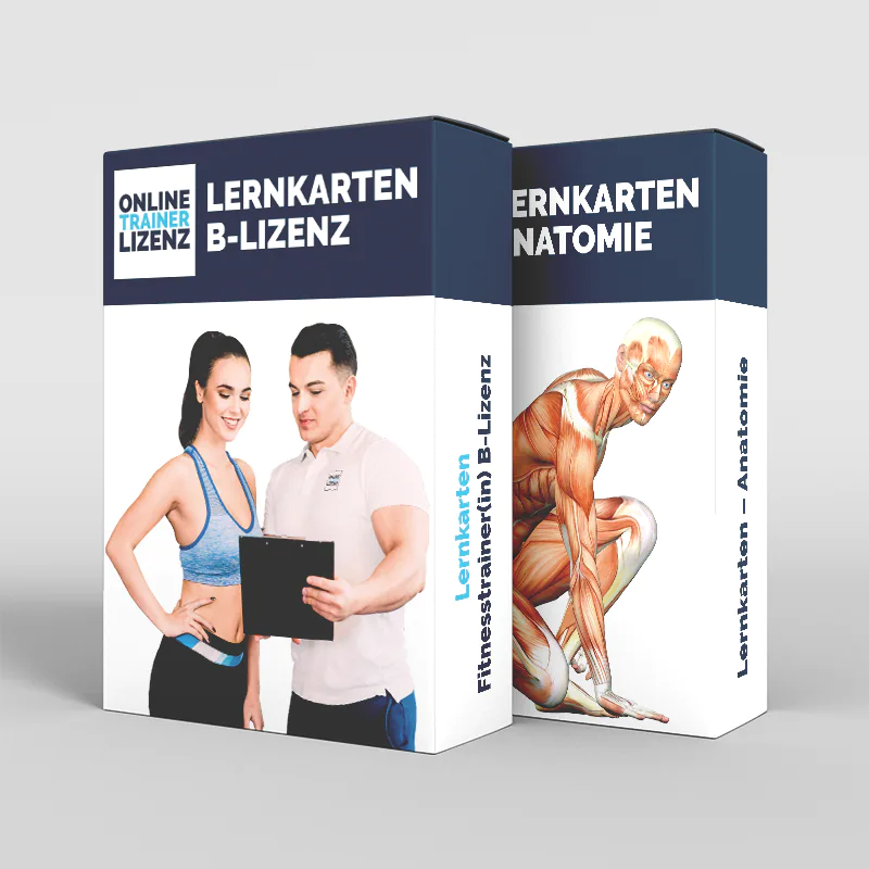 Lernkarten-Paket zur Fitnesstrainer B Lizenz