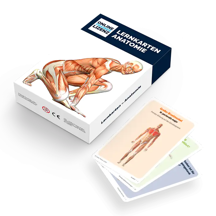 Lernkarten der menschlichen Anatomie